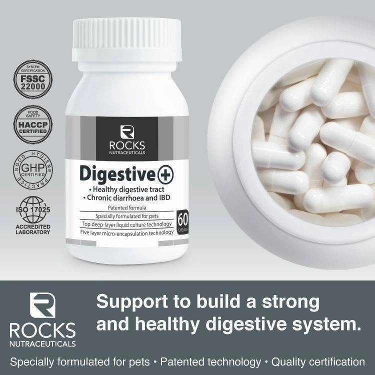 *CHILLED* Rocks Nutraceuticals Digestive  60caps