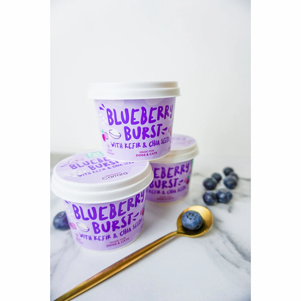 *FROZEN* PetCubes Dogs & Cats Icecream Blueberry Burst 3.5oz ( NOT FOR DELIVERY )