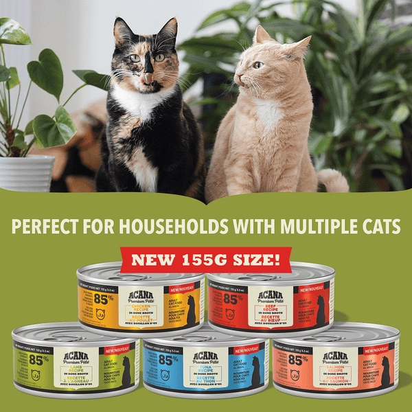ACANA Premium Pate Tuna Recipe Canned Cat Food