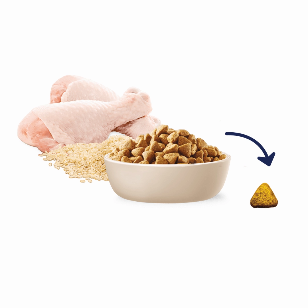 Advance Dog Food Adult Large Breed Mobility Chicken with Rice 13kg