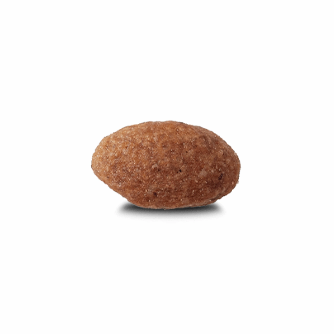 Advance Dog Food Puppy Oodle
