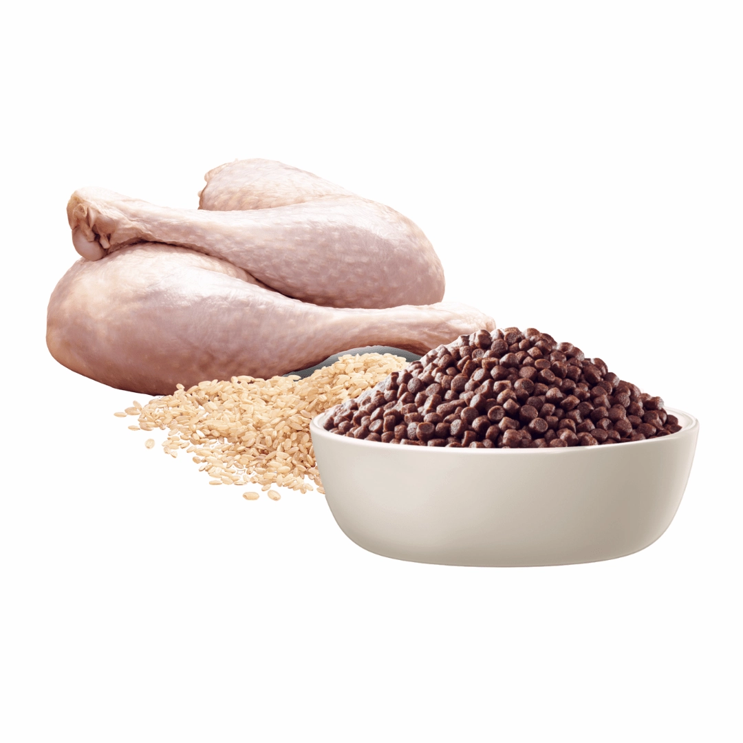 Advance Dog Food Puppy Small Breed Sensitive Skin & Digestion with Turkey and Rice