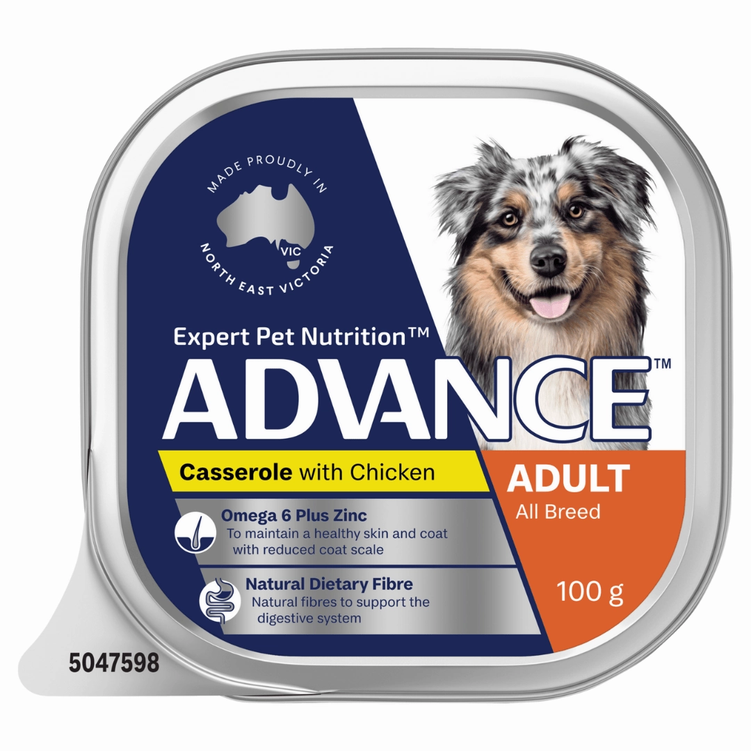 Advance Dog Food Tray Adult All Breed Casserole with Chicken 12x100g