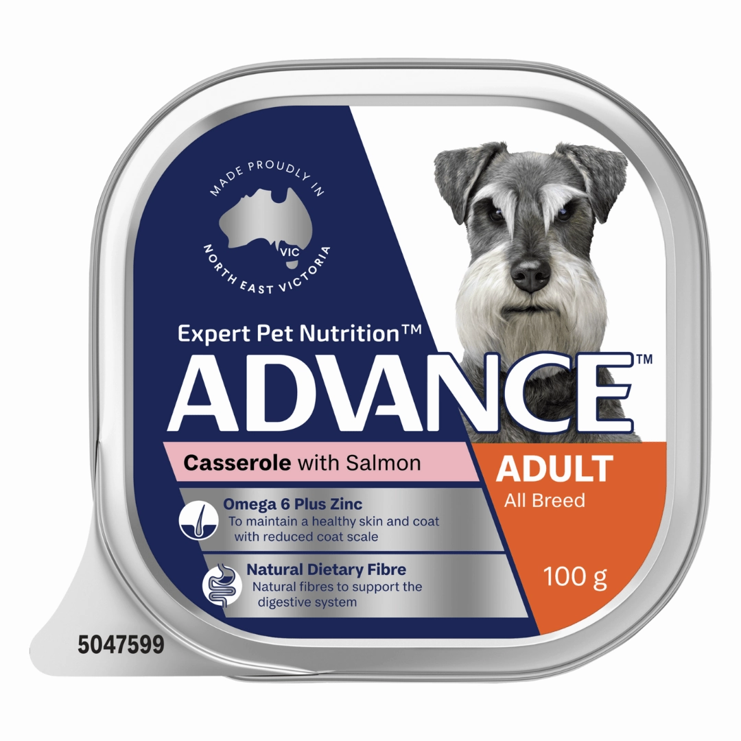 Advance Dog Food Tray Adult All Breed Casserole with Salmon 12x100g