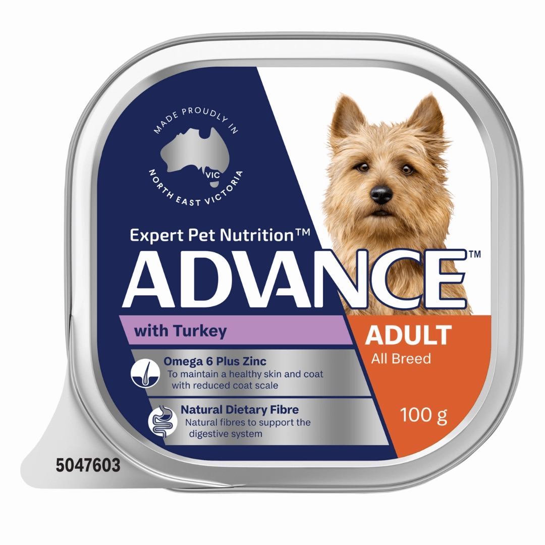Advance Dog Food Tray Adult All Breed with Turkey 12x100g
