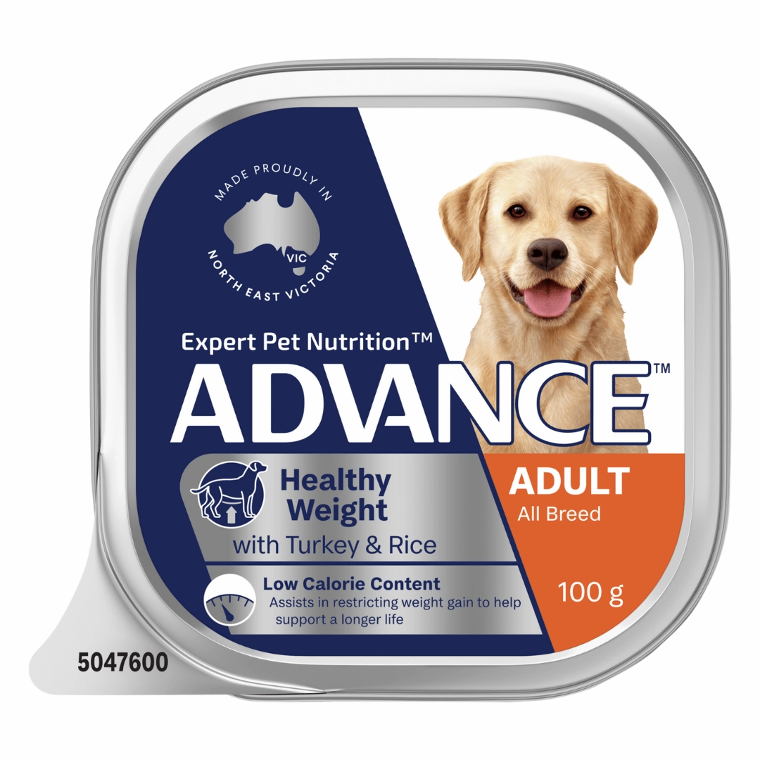 Advance Dog Food Tray Adult Healthy Weight All Breed Turkey with Rice 12x100g