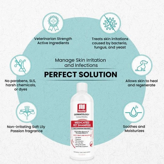 Antimicrobial Medicated Shampoo for Dogs & Cats