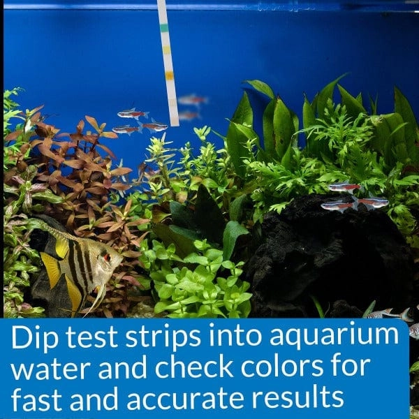 API 5 In 1 Aquarium Test Strips