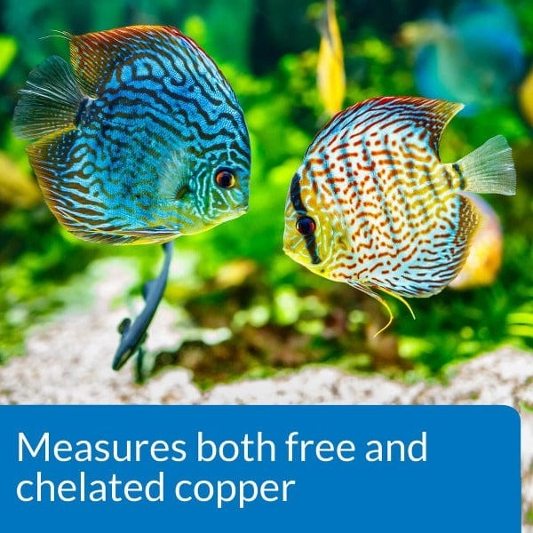 API Copper Test Kit