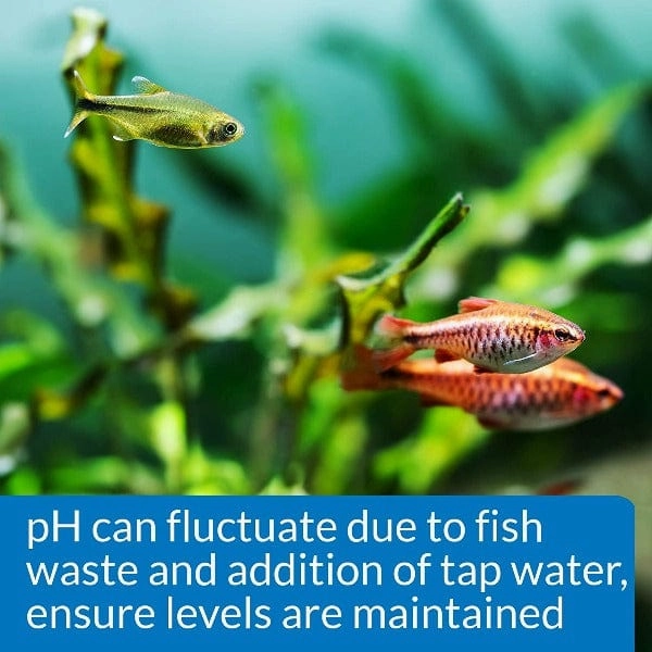 API Freshwater pH Test Kit