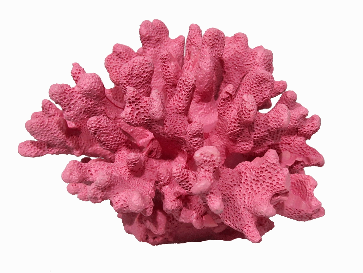 Aquamate - Corals (Small)