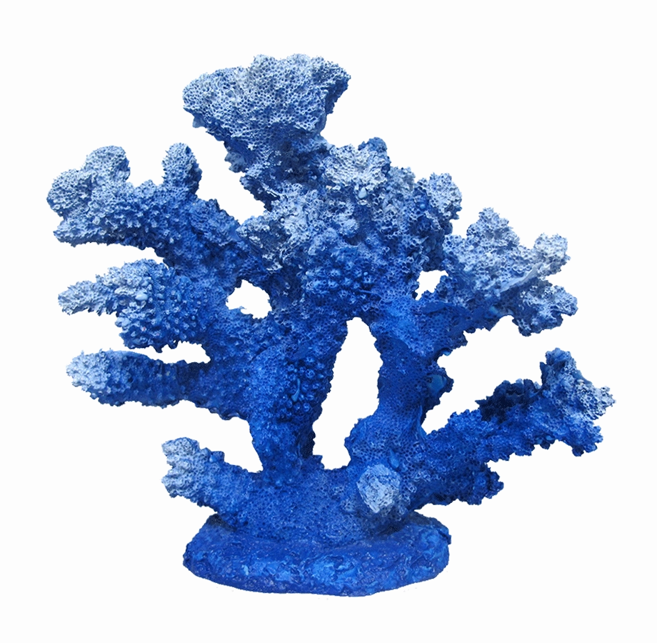 Aquamate - Corals (Small)