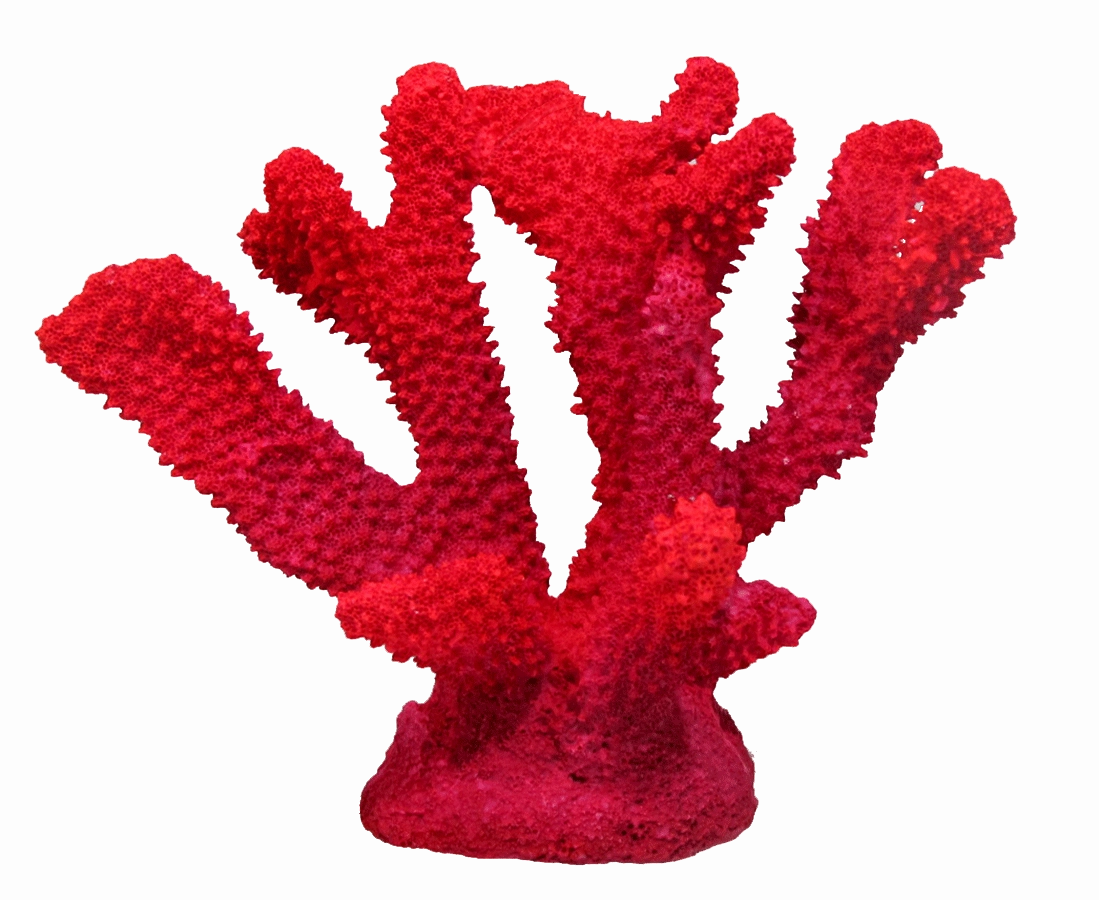Aquamate - Corals (Small)