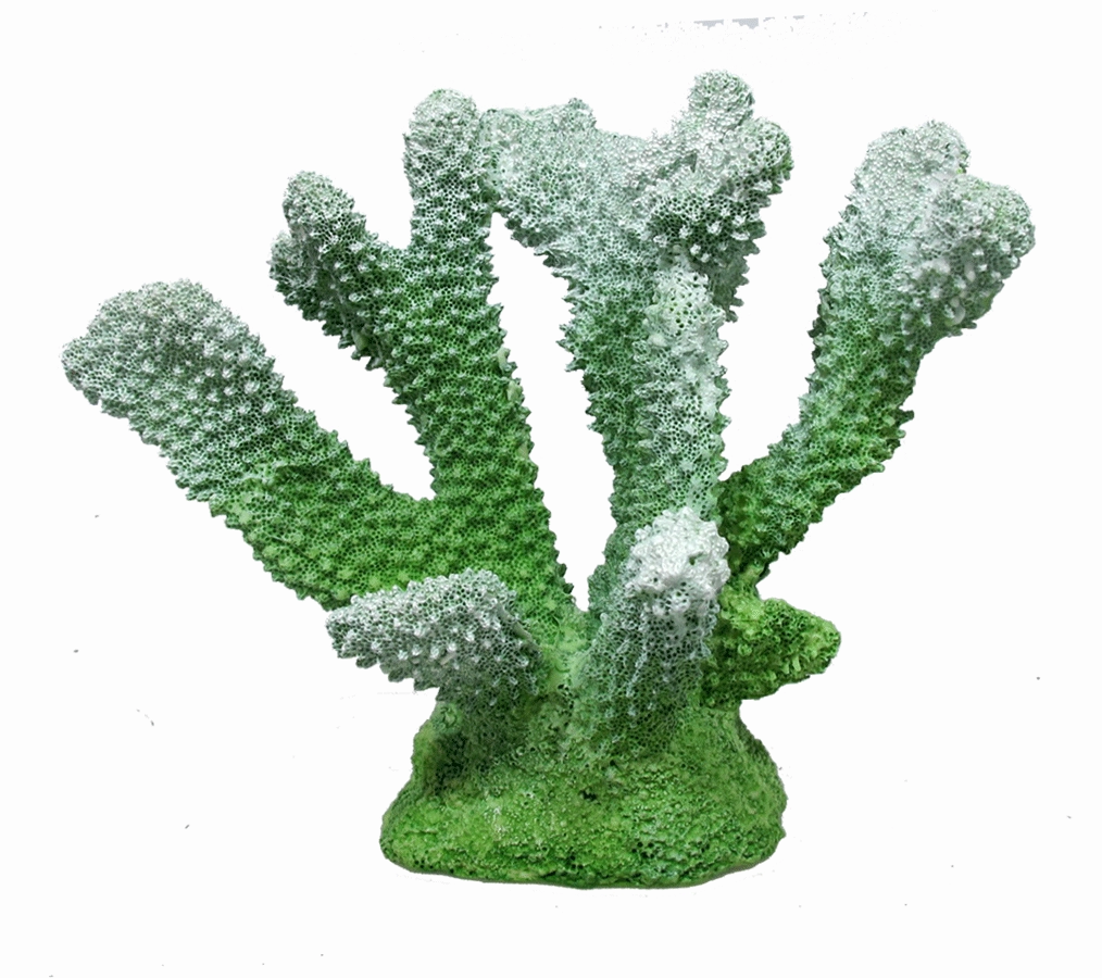 Aquamate - Corals (Small)