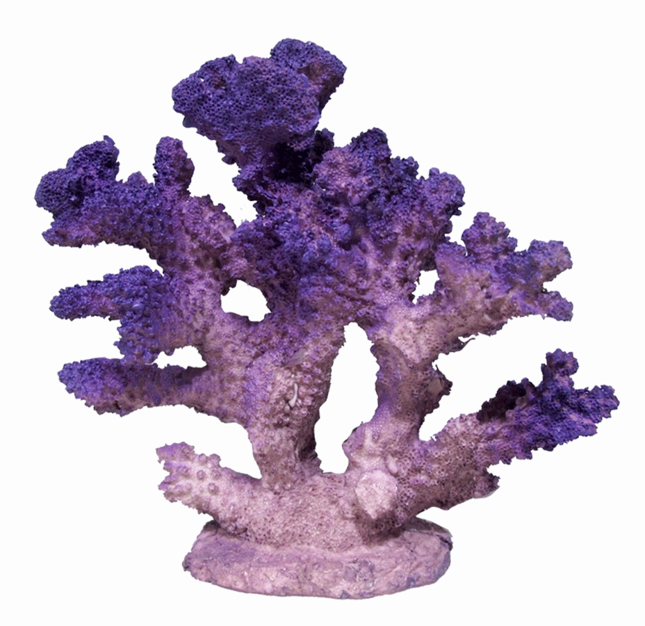 Aquamate - Corals (Small)