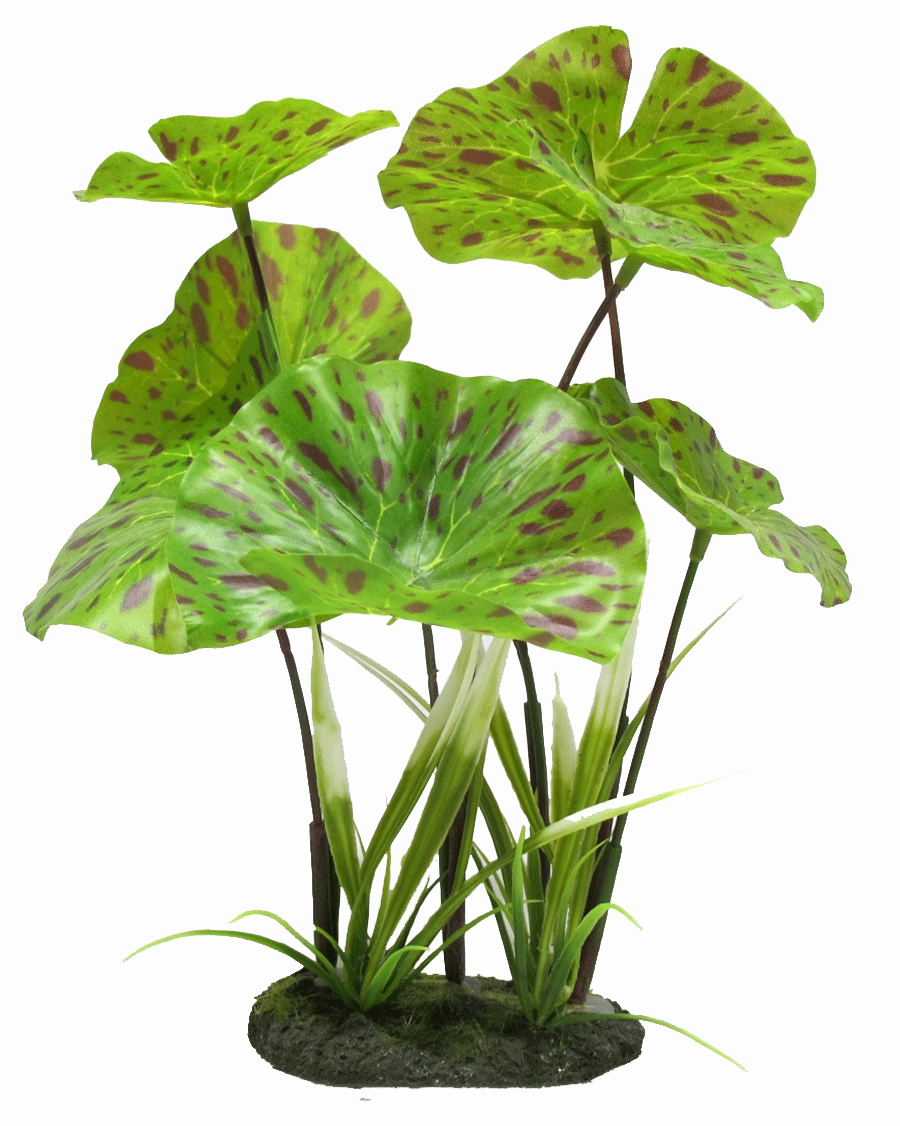 Aquamate - Jungle Gardens (Large)