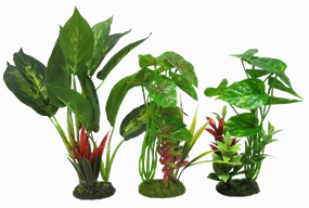 Aquamate - Jungle Gardens (Medium)
