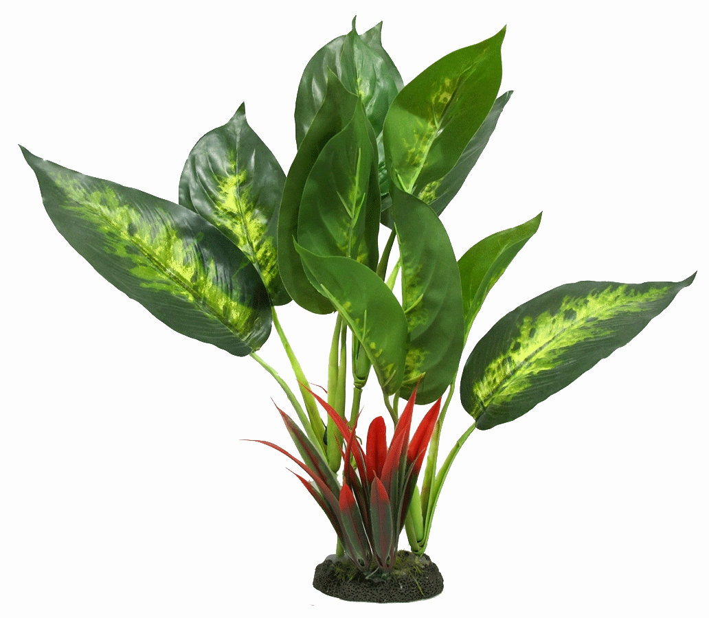 Aquamate - Jungle Gardens (Medium)