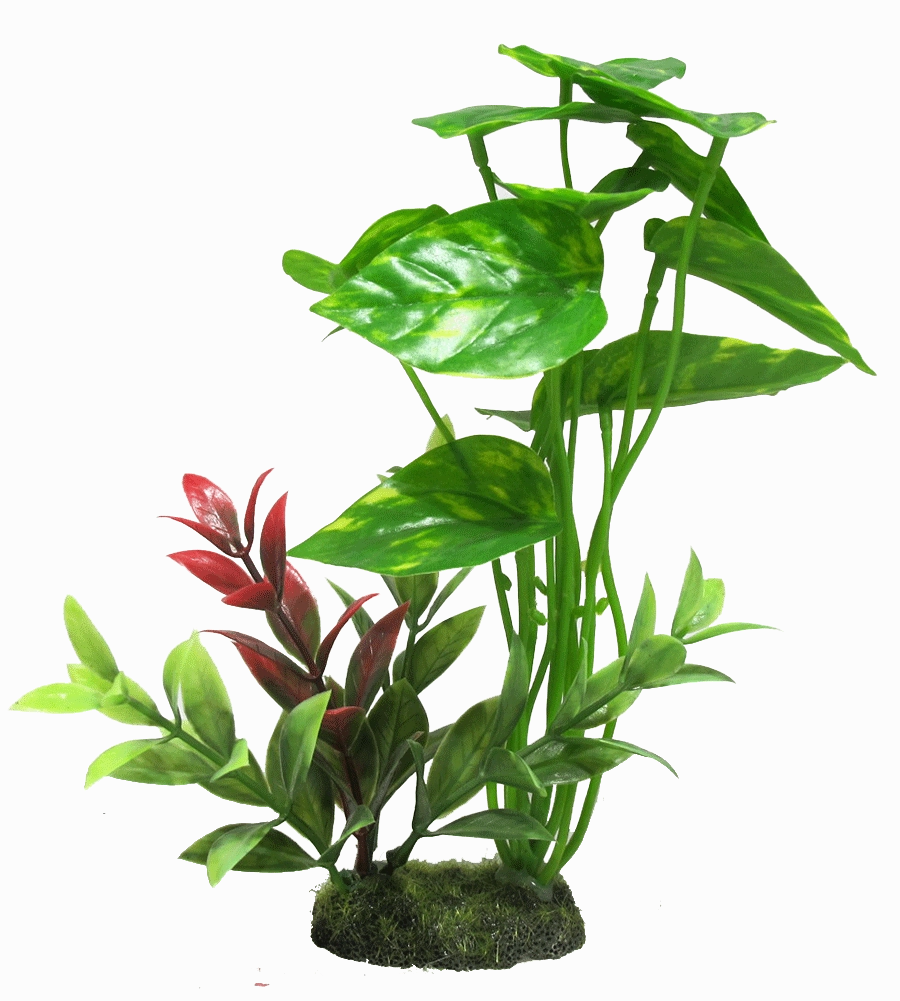 Aquamate - Jungle Gardens (Medium)