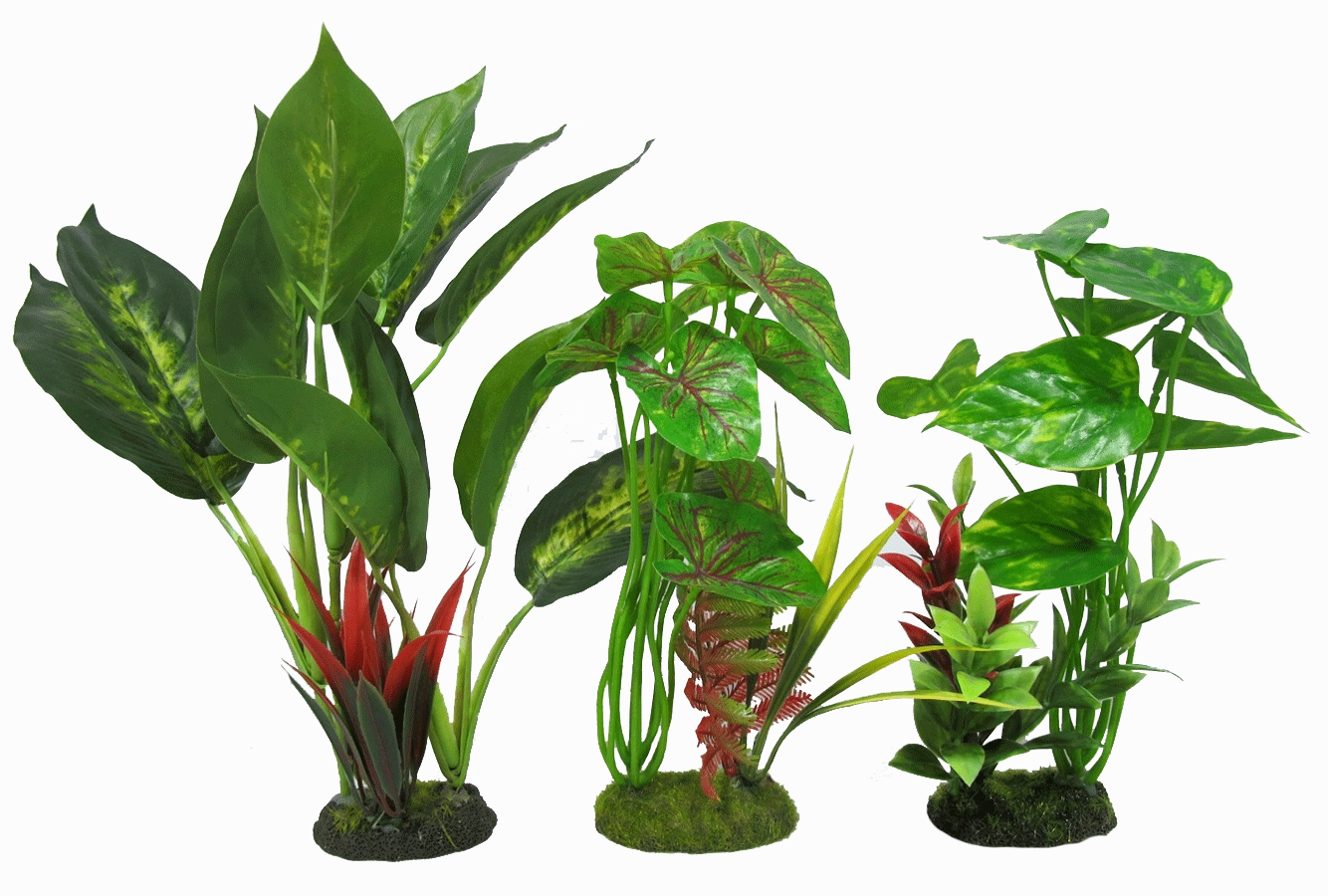 Aquamate - Jungle Gardens (Medium)