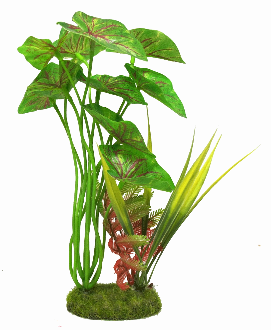 Aquamate - Jungle Gardens (Medium)