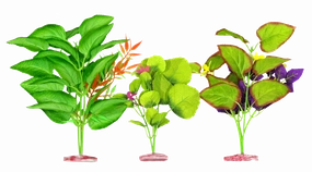 Aquamate - Medium Silk Plants Natural (3pk)