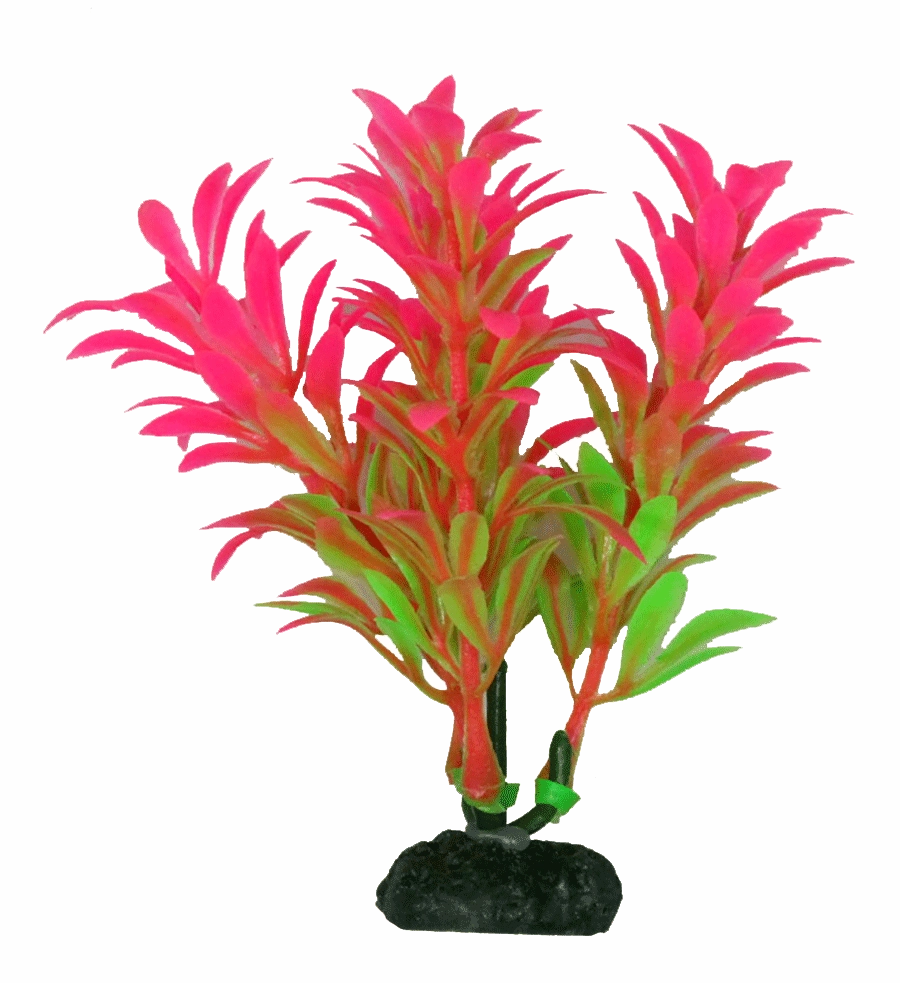 Aquamate - Natural Plants (10cm) (3pk)