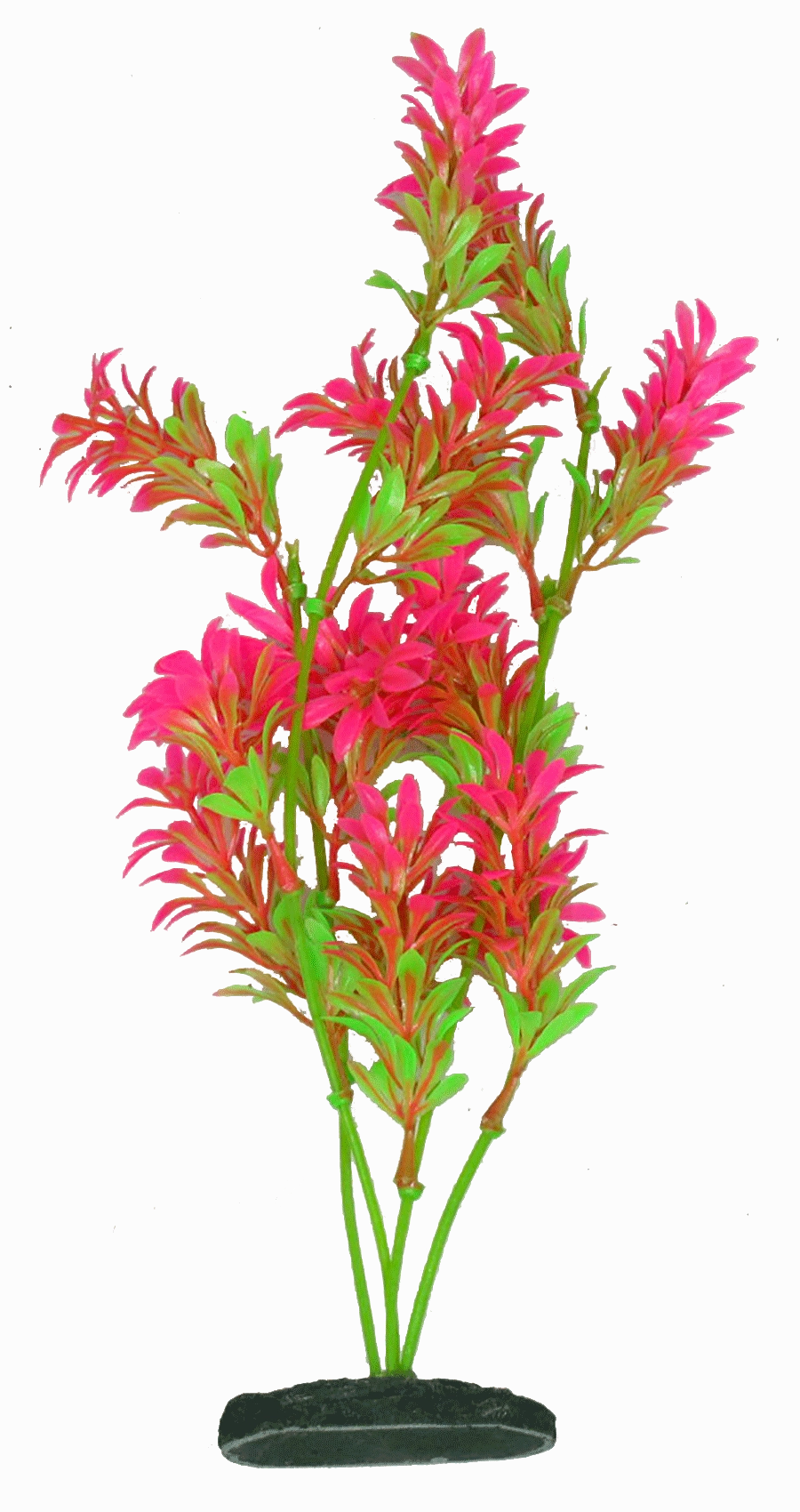 Aquamate - Natural Plants (30cm) (3pk)
