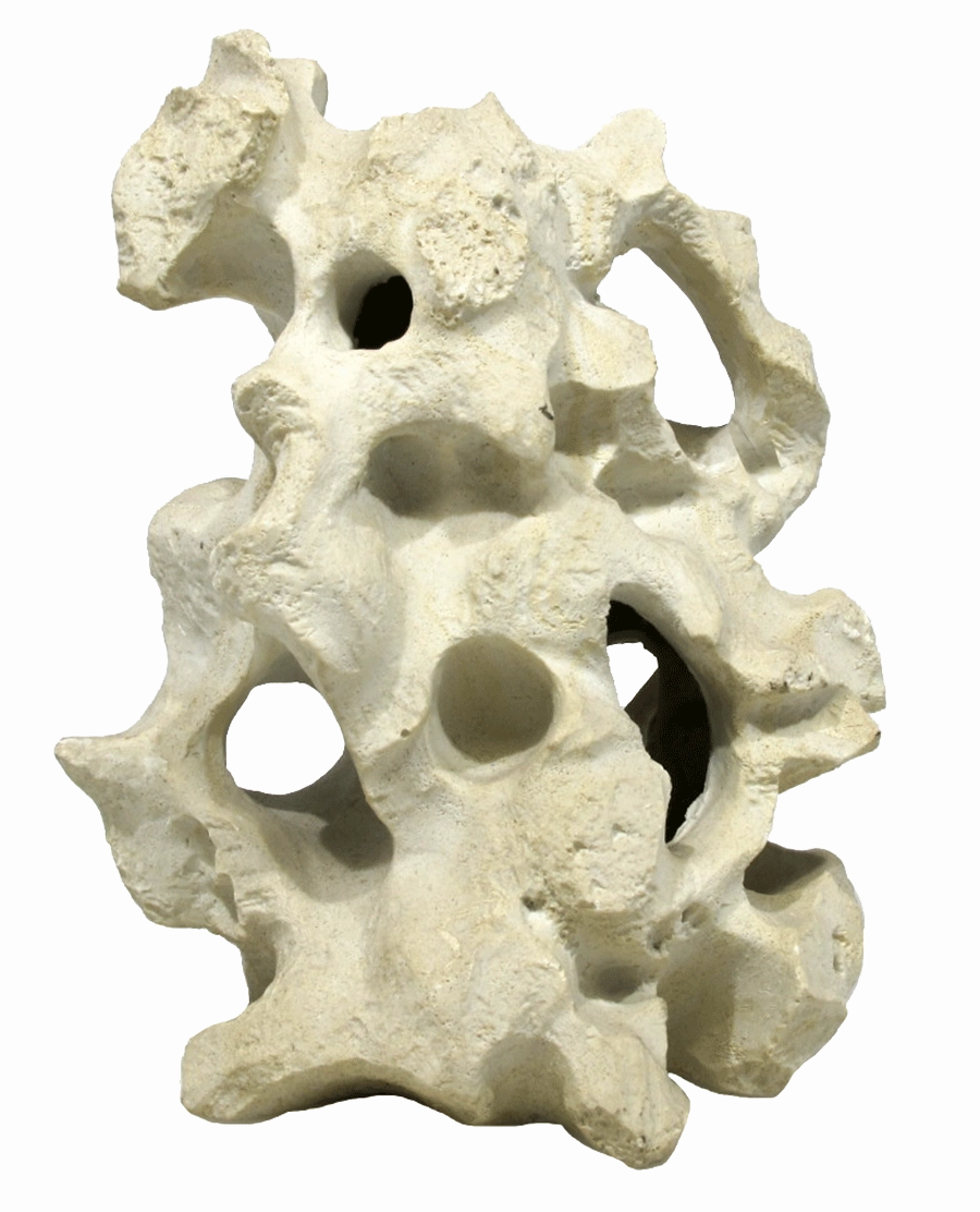 Aquamate - Ornament Holey Rock (Medium)