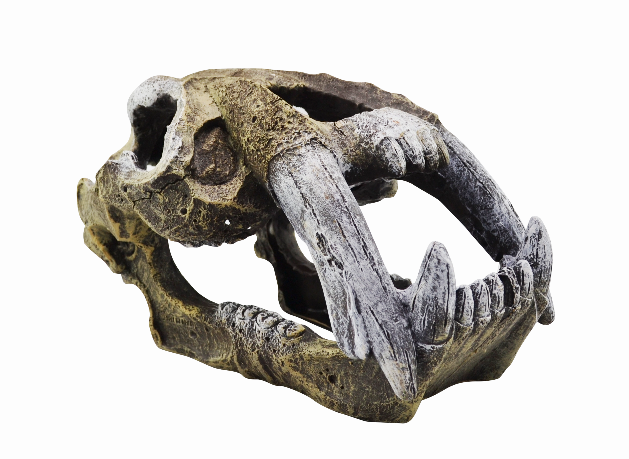 Aquamate - Ornament Skull (XLrg)