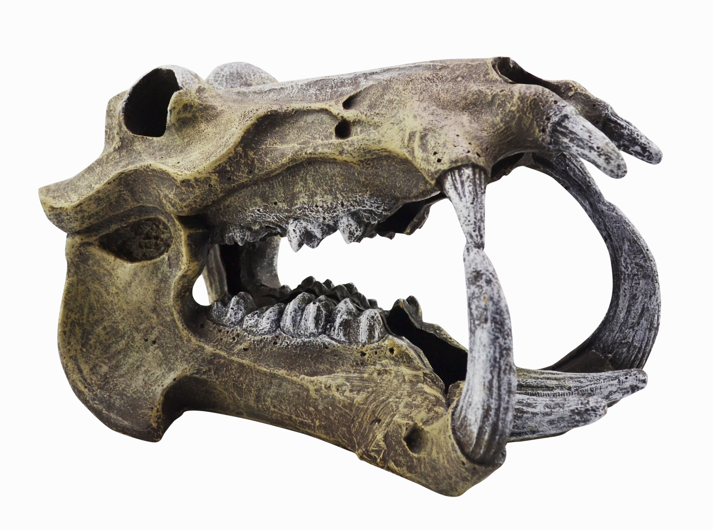 Aquamate - Ornament Skull (XLrg)