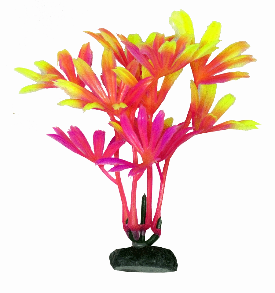 Aquamate - Vibrant Plants (10cm) (3pk)