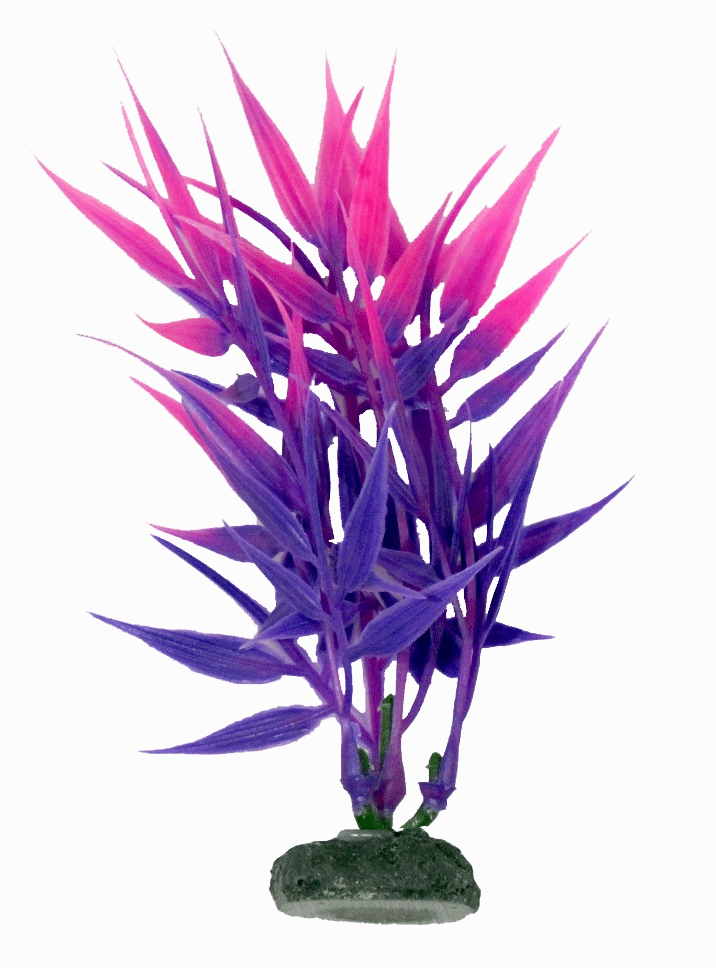 Aquamate - Vibrant Plants (10cm) (3pk)