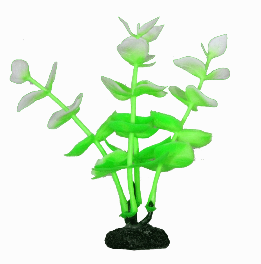 Aquamate - Vibrant Plants (10cm) (3pk)
