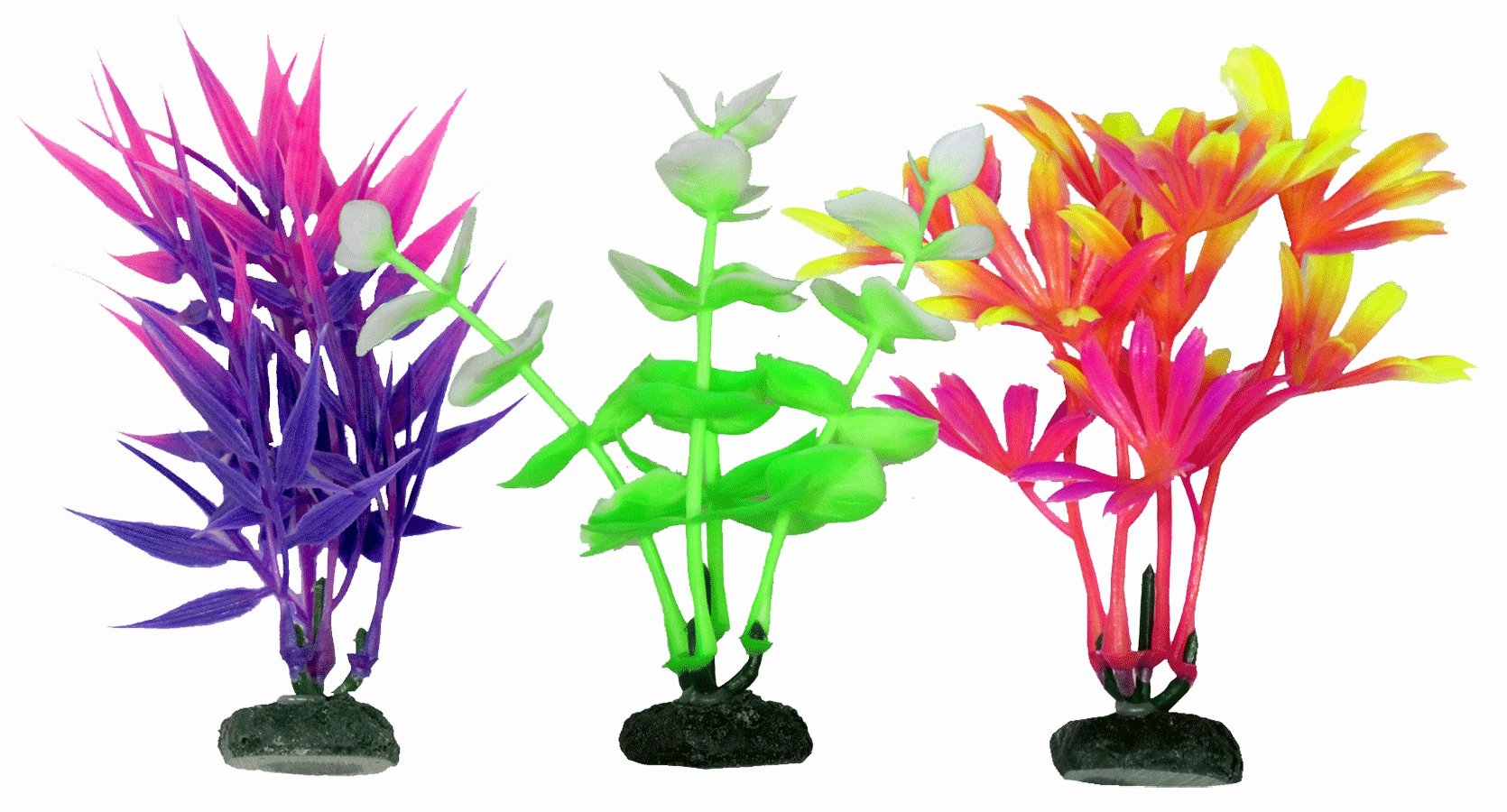 Aquamate - Vibrant Plants (10cm) (3pk)