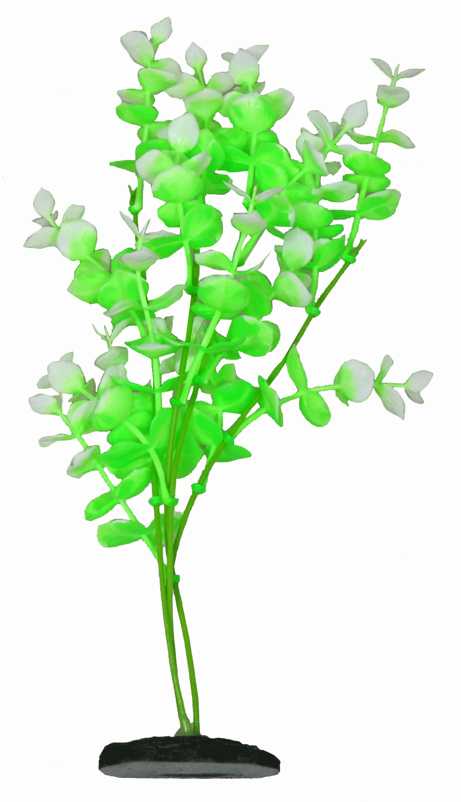 Aquamate - Vibrant Plants (20cm) (3pk)