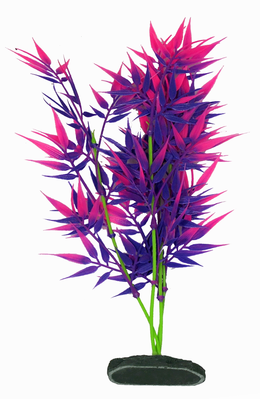Aquamate - Vibrant Plants (20cm) (3pk)