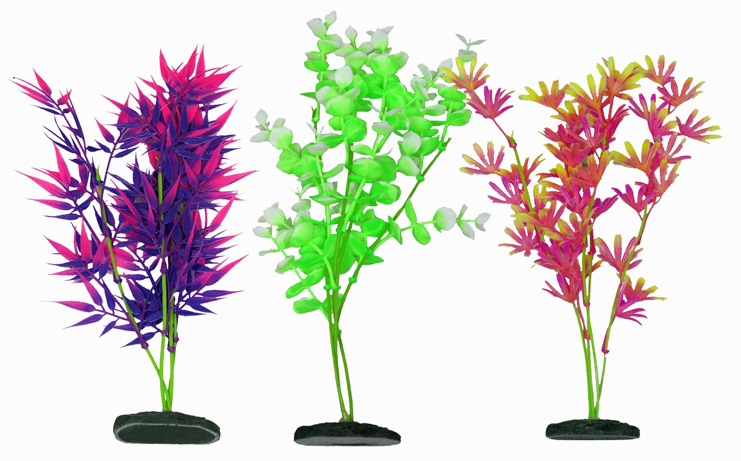 Aquamate - Vibrant Plants (20cm) (3pk)