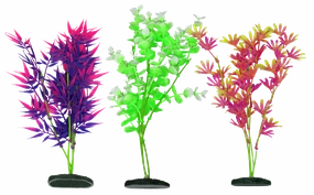 Aquamate - Vibrant Plants (20cm) (3pk)