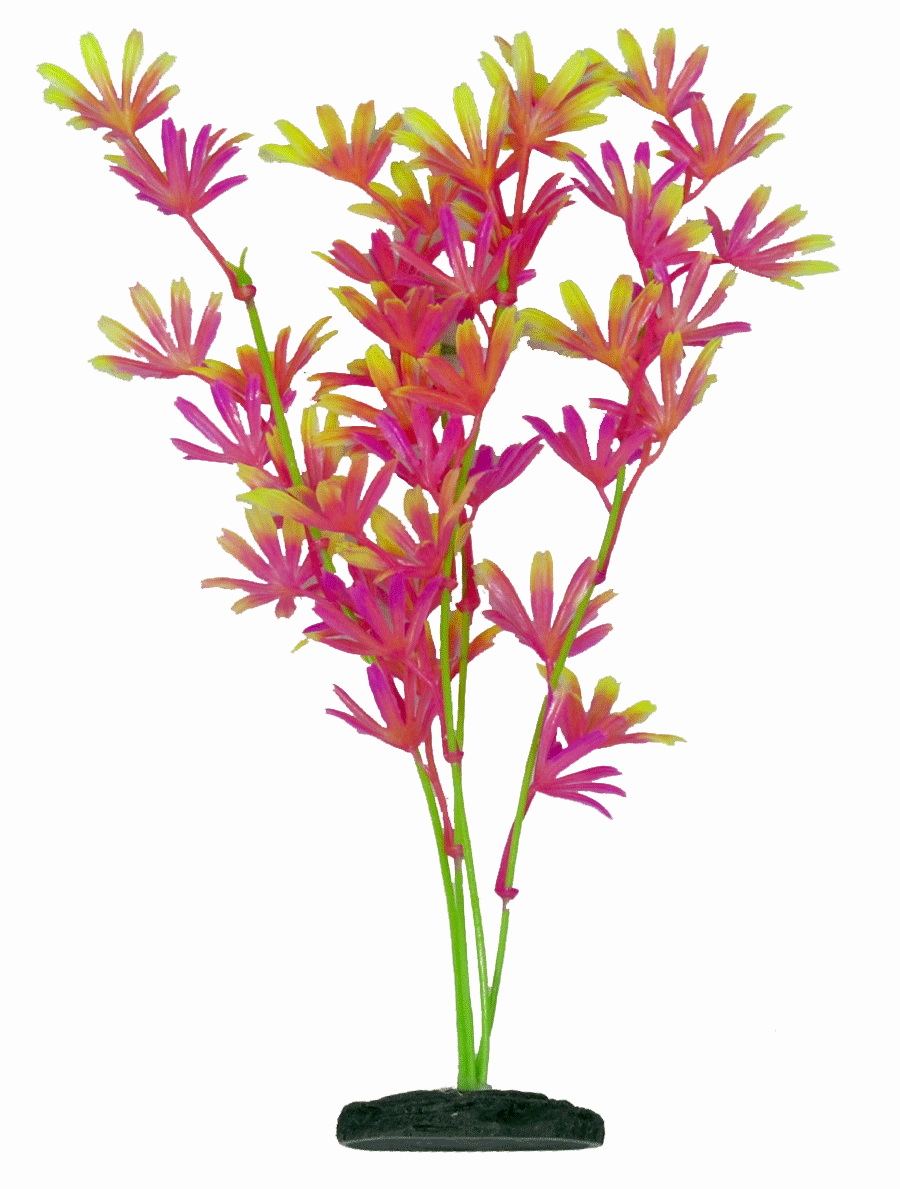 Aquamate - Vibrant Plants (30cm) (3pk)