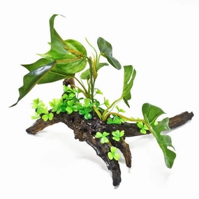 Aquatop Resin Driftwood with Broad Leaf Plastic Plant & Clover