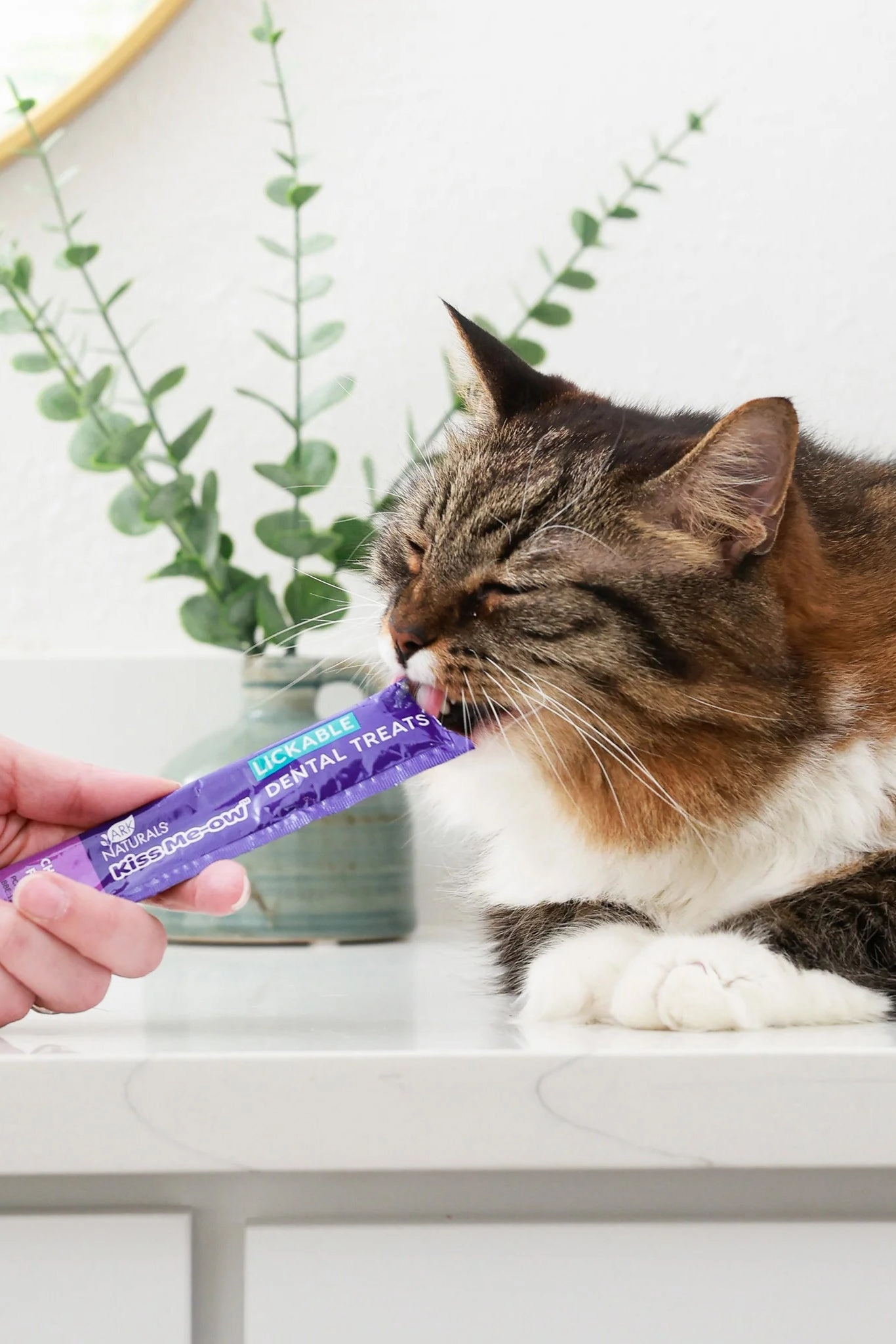 Ark Naturals Kiss Me-ow Chicken Lickable Cat Treats