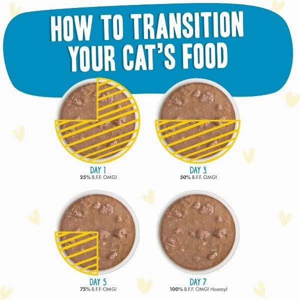 B.F.F. Charge Me Up Chicken Dinner in Gravy Pouch Cat Food; 12 Pack (SPECIAL ORDER ITEM)