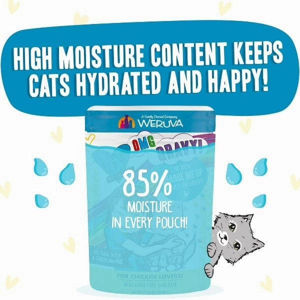 B.F.F. Charge Me Up Chicken Dinner in Gravy Pouch Cat Food; 12 Pack (SPECIAL ORDER ITEM)