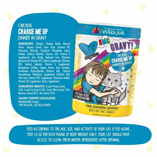 B.F.F. Charge Me Up Chicken Dinner in Gravy Pouch Cat Food; 12 Pack (SPECIAL ORDER ITEM)