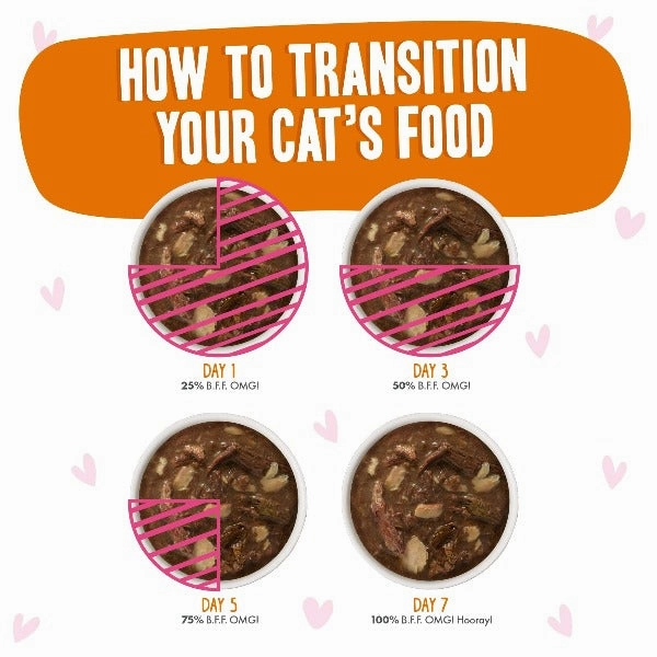 B.F.F. Sweet Cheeks Tuna & Salmon Dinner in Gravy Pouch Cat Food