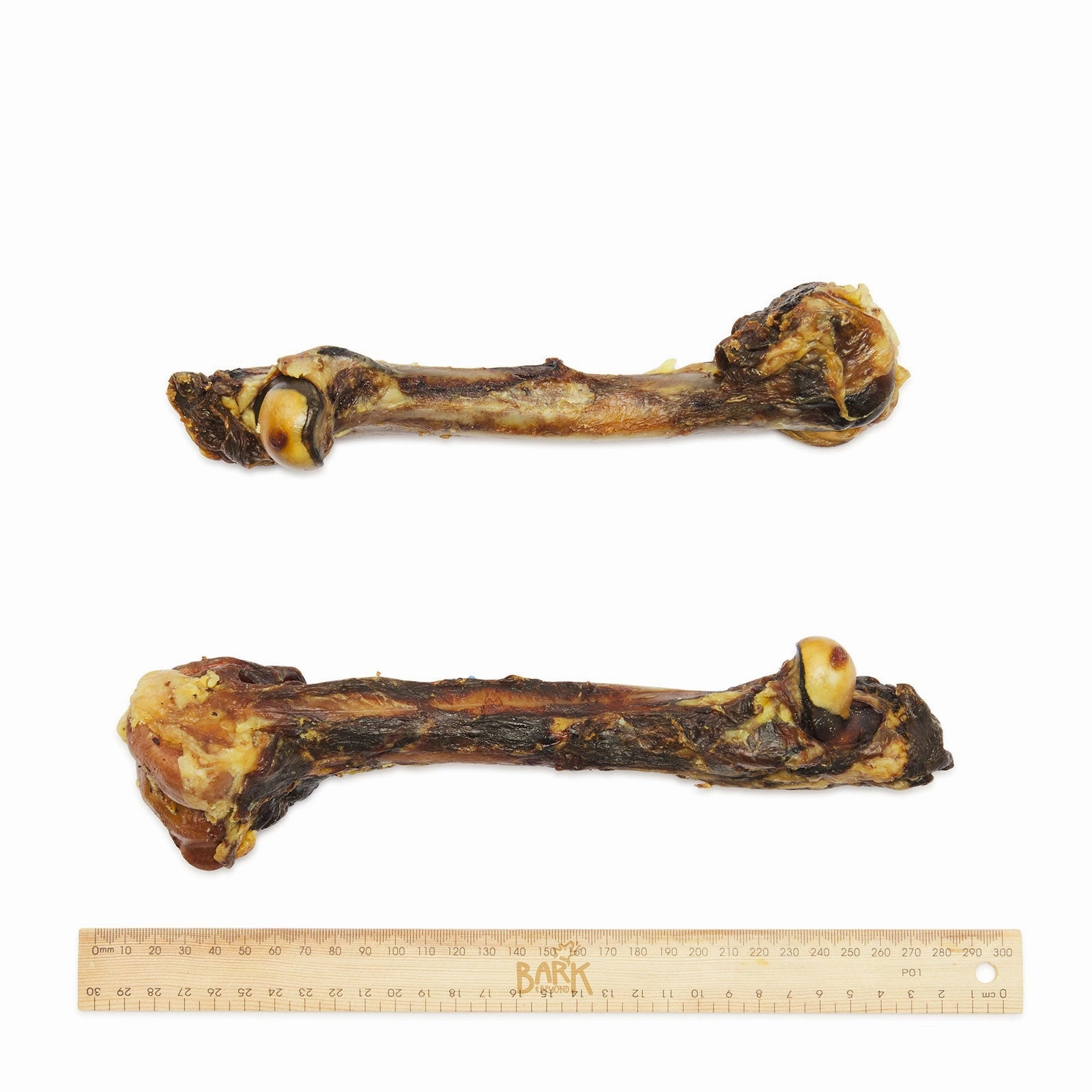 Bark & Beyond Kangaroo Leg Bone
