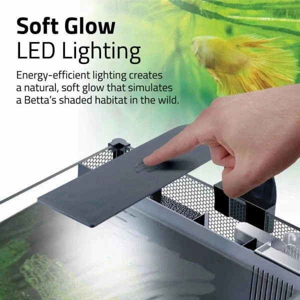 Betta Premium Aquarium Kit, 6 US Gal / 22.7 L