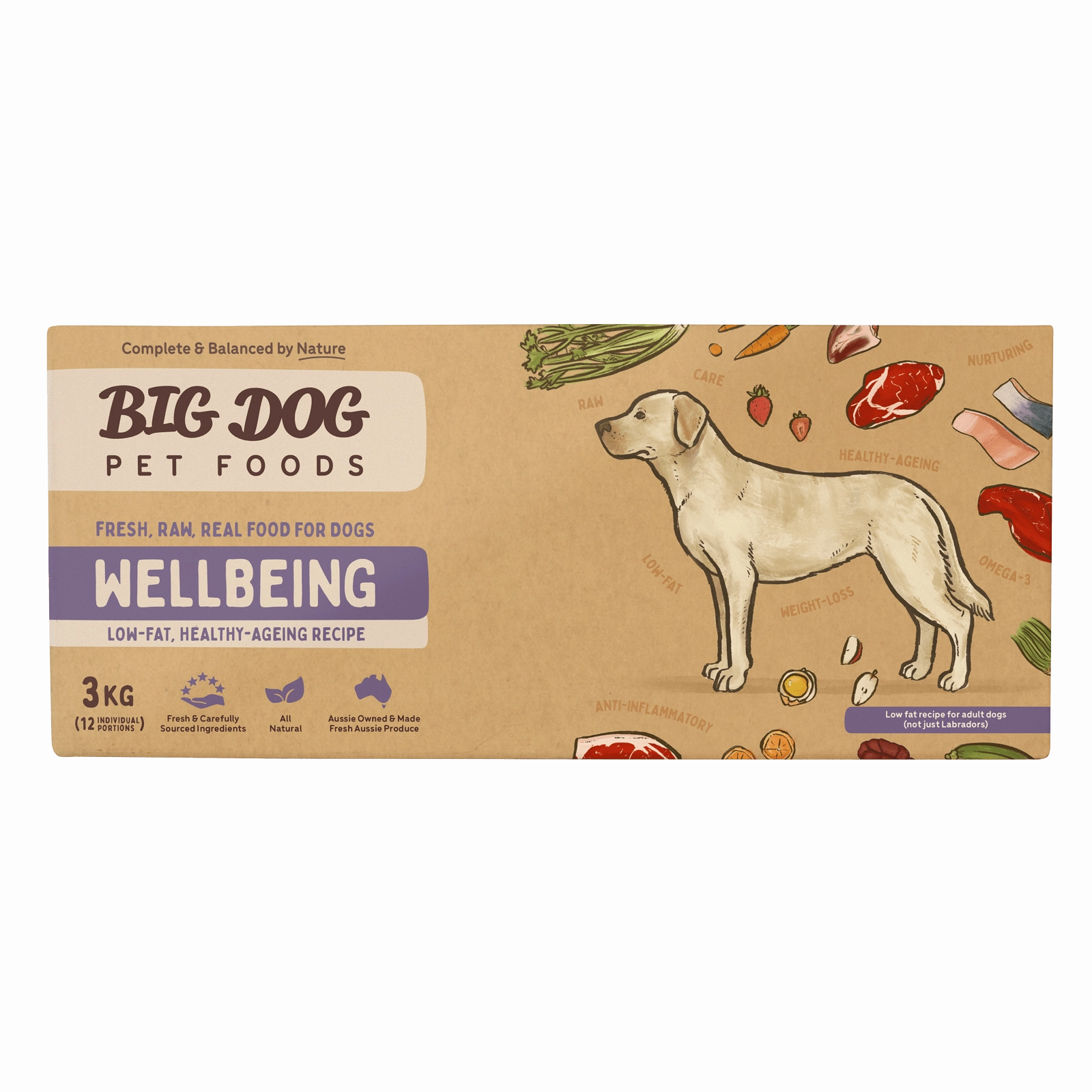 Big Dog Raw Dog Food Wellbeing 3kg 12pk