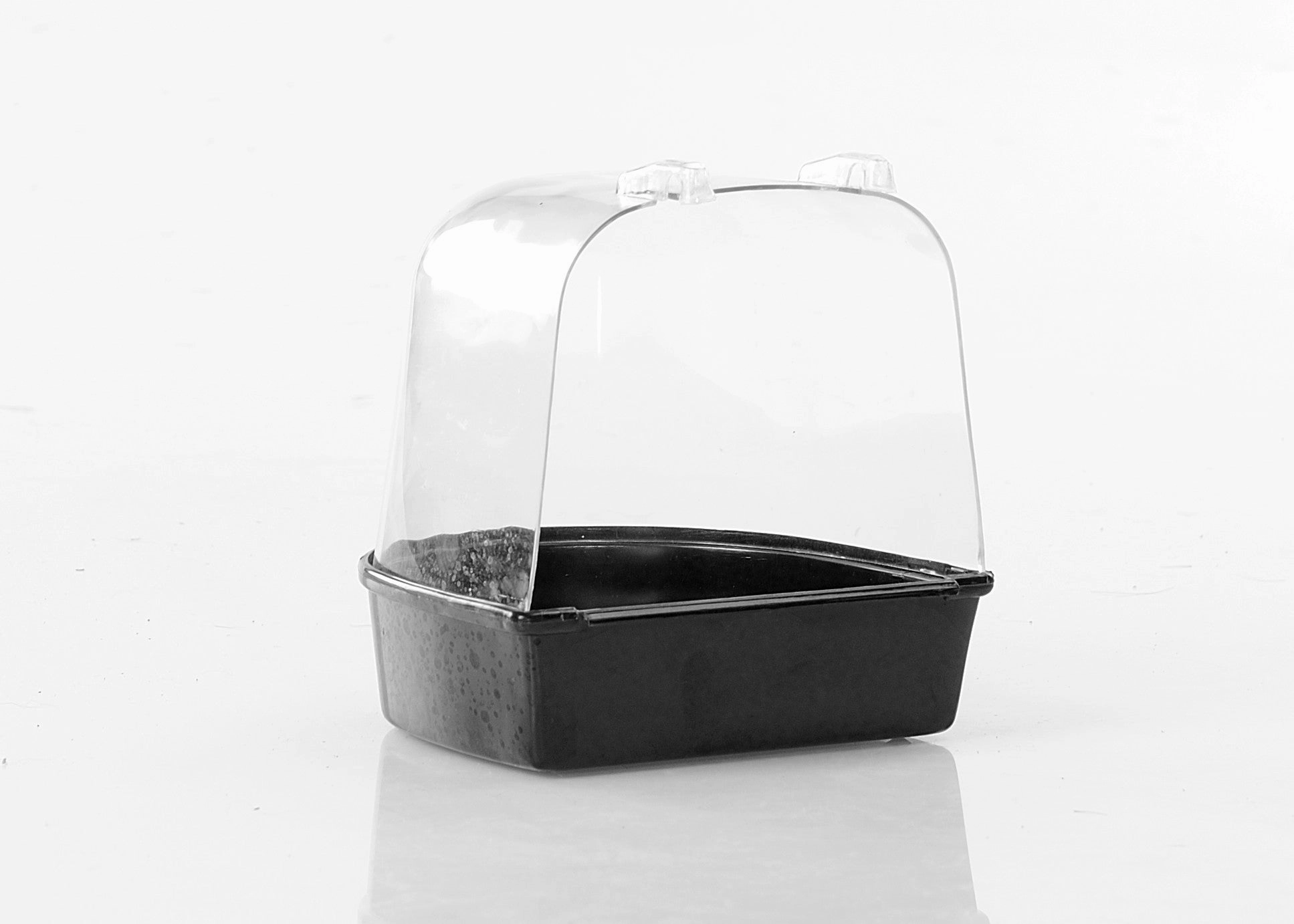 Bird Bath (Round)